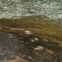 фото из отзыва ID 2364533