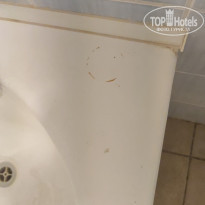 фото из отзыва ID 2364637