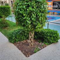 фото из отзыва ID 2364665