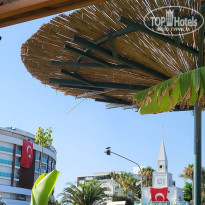 фото из отзыва ID 2364665