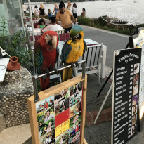 фото из отзыва ID 2364662