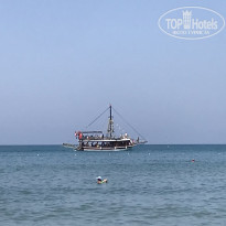 фото из отзыва ID 2364662