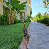 фото из отзыва ID 2364132