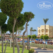 фото из отзыва ID 2364858