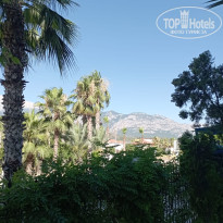 фото из отзыва ID 2364912