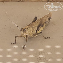 фото из отзыва ID 2364981