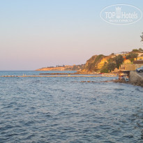 фото из отзыва ID 2364981