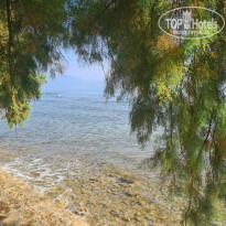 фото из отзыва ID 2364981