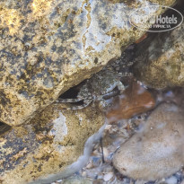 фото из отзыва ID 2364981