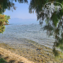 фото из отзыва ID 2364981