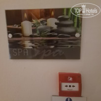 фото из отзыва ID 2364981