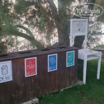 фото из отзыва ID 2364981