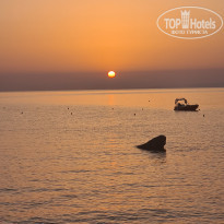 фото из отзыва ID 2364981