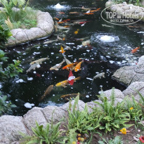 фото из отзыва ID 2365127