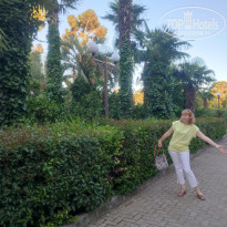 фото из отзыва ID 2365120