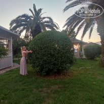 фото из отзыва ID 2365120