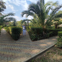 фото из отзыва ID 2365120