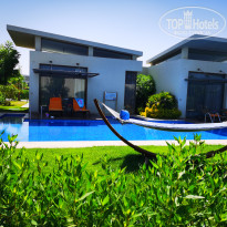 фото из отзыва ID 2365147