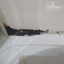 фото из отзыва ID 2365304