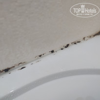 фото из отзыва ID 2365304