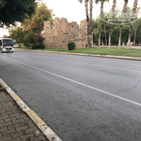 фото из отзыва ID 2365376