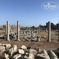 фото из отзыва ID 2365376