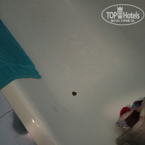 фото из отзыва ID 2365391