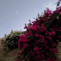 фото из отзыва ID 2365450