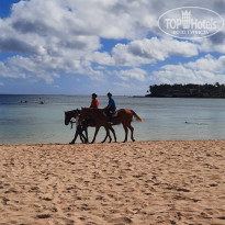 фото из отзыва ID 2365809