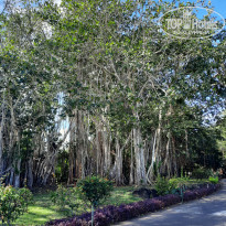 фото из отзыва ID 2365809