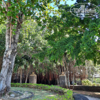 фото из отзыва ID 2365809