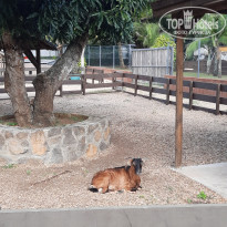 фото из отзыва ID 2365809