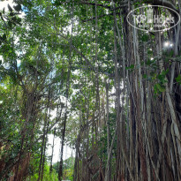 фото из отзыва ID 2365809