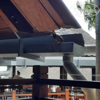 фото из отзыва ID 2365809