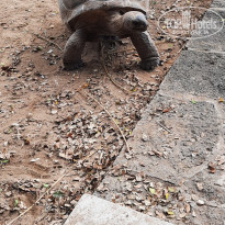 фото из отзыва ID 2365809