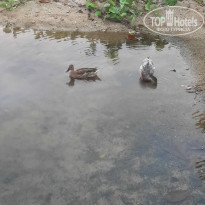 фото из отзыва ID 2365809