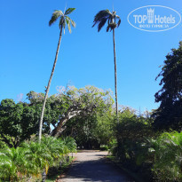 фото из отзыва ID 2365809