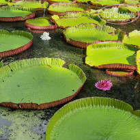 фото из отзыва ID 2365809