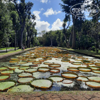 фото из отзыва ID 2365809