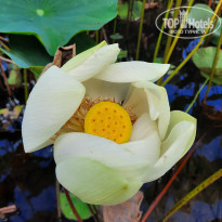 фото из отзыва ID 2365809