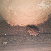 фото из отзыва ID 2365809