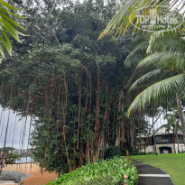 фото из отзыва ID 2365809