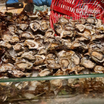 фото из отзыва ID 2365809