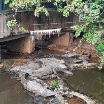 фото из отзыва ID 2365809