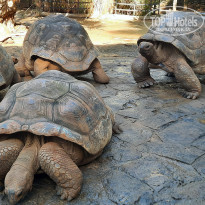 фото из отзыва ID 2365809