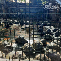 фото из отзыва ID 2365809