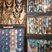 фото из отзыва ID 2365809