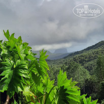 фото из отзыва ID 2365809