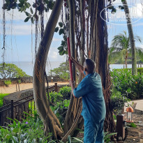 фото из отзыва ID 2365809