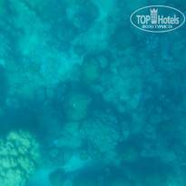 фото из отзыва ID 2365809